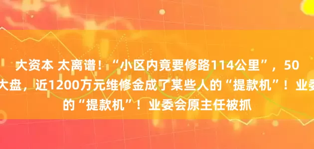 大资本 太离谱！“小区内竟要修路114公里”，5000多户的超级大盘，近1200万元维修金成了某些人的“提款机”！业委会原主任被抓