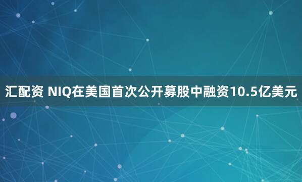 汇配资 NIQ在美国首次公开募股中融资10.5亿美元