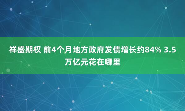 祥盛期权 前4个月地方政府发债增长约84% 3.5万亿元花在哪里