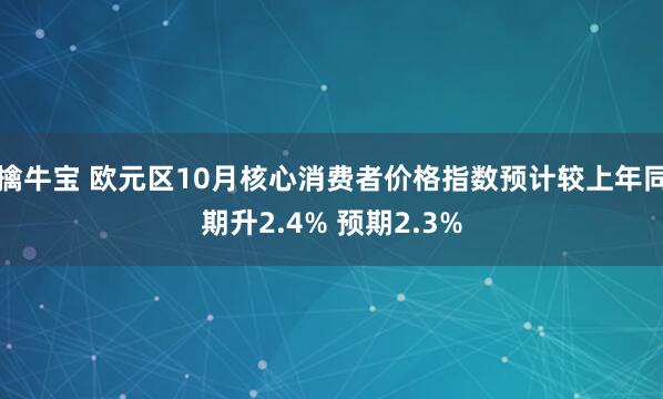 擒牛宝 欧元区10月核心消费者价格指数预计较上年同期升2.4% 预期2.3%